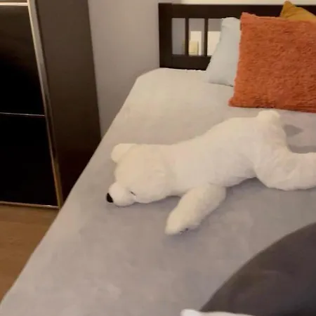 Apartment - Parking Inclusive